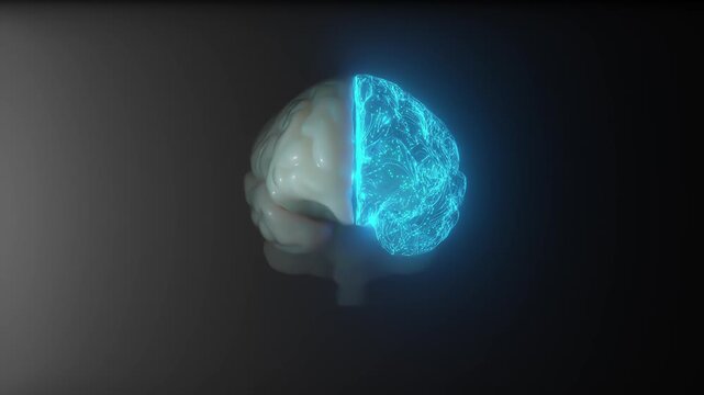 Brain simulation. Left brain blue neuron connections is active. Futuristic medical technology concept. Animation seamless loop. 3D Render.