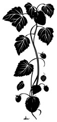 Kiwi vine silhouette border decoration