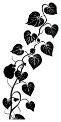 Decorative kiwi vine silhuoette drawing