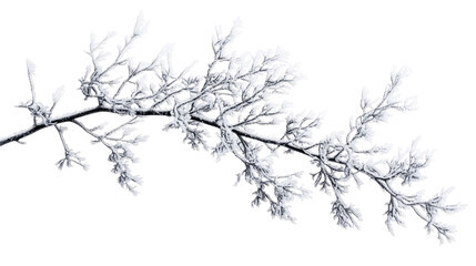 Fototapeta premium frost overlay on white background