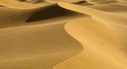 Golden Sand Dunes: Ripples and Shadows in the Desert Landscape