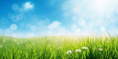 Obraz premium Green Grass Field – Grass, Green, Field, Sky, Nature, Landscape, Outdoor, Fresh, Growth, Spring, Summer, Lawn, Bright, Blue