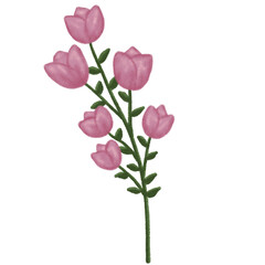 Obraz premium pink floral use digital crayon coloring