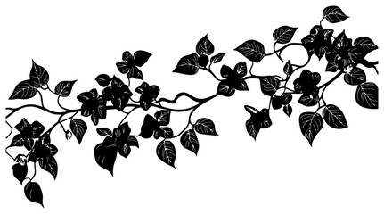 Bougainvillea vine silhouette border decoration