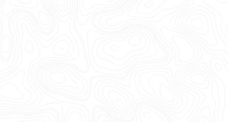 abstract wavy background topographic contour background, Grey topographic lines. Texture of lines. pattern shape in organic wood on white and transparent background. © Mst
