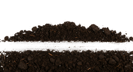 Image Processing Complete