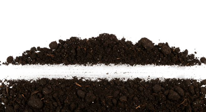 Image Processing Complete