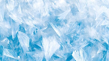 Obraz premium Close-up view of intricate ice crystals.