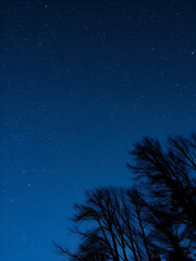 Naklejka premium Star map of the northern sky