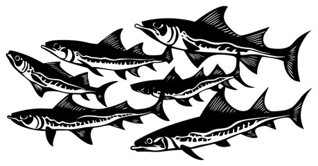 Group of Barracuda Silhouettes Hunting in Formation