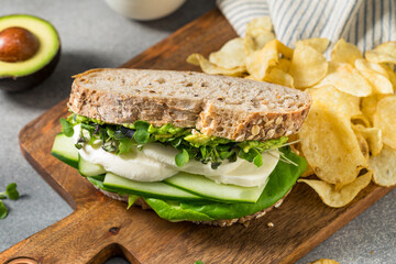 Healthy Organic Vegetarian Green Goddess Sandwich