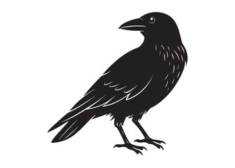 Fototapeta premium Black Crow Silhouette Vector Illustration of Perched Bird in Profile.