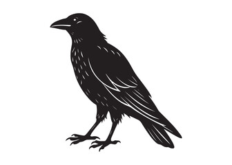 Black Crow Silhouette Vector Illustration of Perched Bird in Profile.