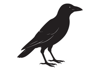 Black Crow Silhouette Vector Illustration of Perched Bird in Profile.
