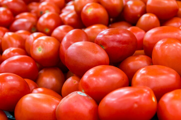 Fresh red tomatoes in the supermarket