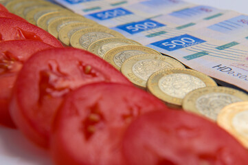 Rows of tomatoes and currency of Mexican peso banknotes and coins, trade concept