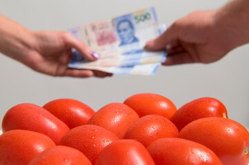 Closing negotiations and sales of fresh red tomatoes, and below against a blurred Person's hand receiving Mexican Peso from another person on a white background 