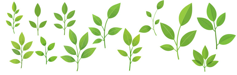 Obraz premium Collection of various green leaves and sprigs, illustrating different shapes and sizes of foliage.