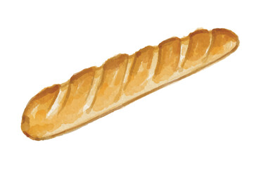 Hand painted watercolor baguette bread isolated