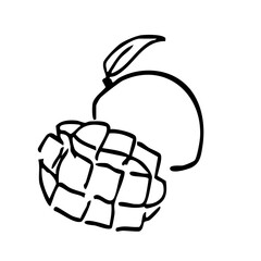 マンゴーのシンプルな線画イラスト
