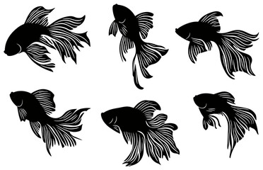 Silhouette of a Betta Fish Group Displaying Fierce Grace