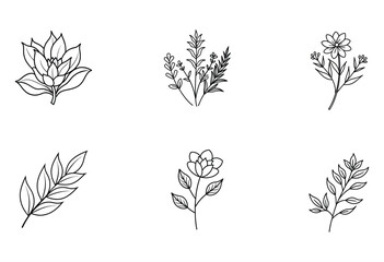 Realistic Botanical Line Art Set. Minimal Floral Illustrations