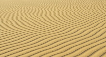 Undulating golden desert sandscapes showcasing rhythmic textures and formations