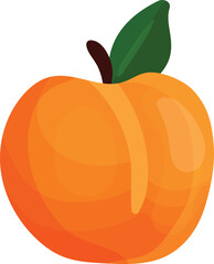vector illustration of peach