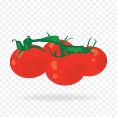 Set of tomato clip art vector illustration on transparent background