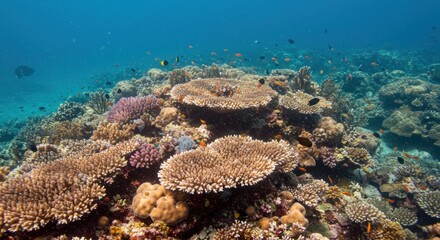 Obraz premium Vibrant underwater ecosystem showcasing a thriving coral reef and diverse marine life