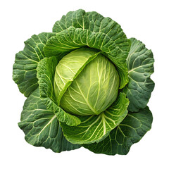 Fresh green cabbage with vibrant leaves on a black background perfect for healthy eating concepts and recipes