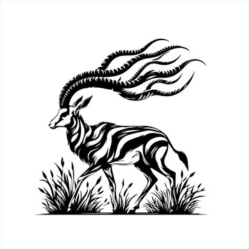 black and white antelope walking in grass clip art preview