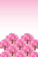 桜のポストカード
