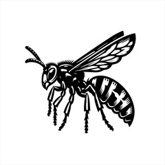 Obraz premium Stylized Black Wasp Insect Illustration.