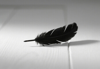 feather pen and ink
