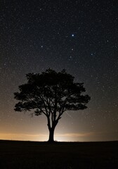 Silhouette of a lone tree under a night sky filled with stars