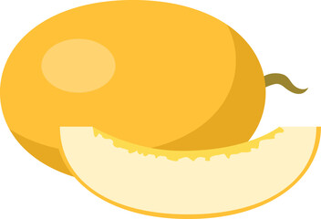 vector illustration of a melon fruit
