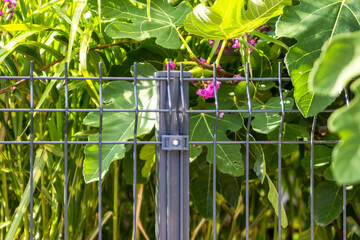 grating wire industrial fence panels. Panel fence
