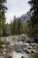 Yosemite National Park California