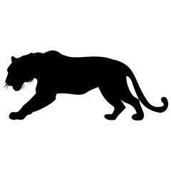 Powerful Black Panther Silhouette in a Low, Stealthy Stalking Pose