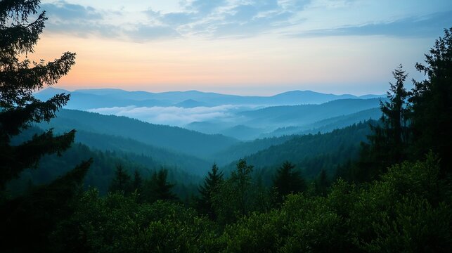 Misty mountain range at dawn, dense forest