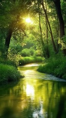 Fototapeta premium Sunlight streams through a verdant forest, illuminating a meandering river