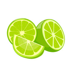 Fresh lime background. Green slices and whole wedges of fresh lime. Citrus fruits set. Hand drawn.