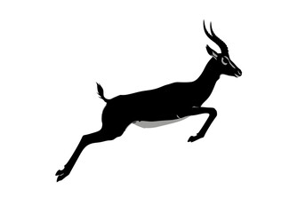 Obraz premium Elegant black silhouette of a leaping gazelle with curved horns, captured in a dynamic, graceful pose.
