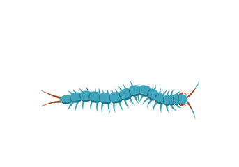 Stylized Blue Centipede Illustration with Spiky Legs and Brown Appendages