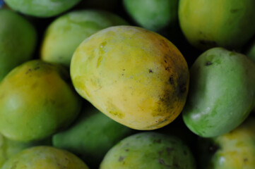 fresh green mangoes