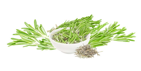 rosemary herb. fresh and dried rosemary on transparent background.