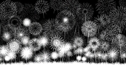 Monochrome celebration: A graphic spectacle of fireworks against a stark night canvas