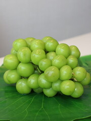 Simuska grapes — a variety of table grapes known for their large, juicy berries with a sweet and slightly tart flavor. These grapes have a vibrant dark purple to black skin and are commonly enjoyed fr