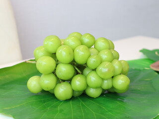 Simuska grapes — a variety of table grapes known for their large, juicy berries with a sweet and slightly tart flavor. These grapes have a vibrant dark purple to black skin and are commonly enjoyed fr